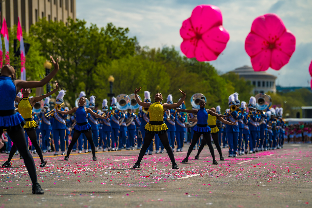 The National Cherry Blossom Festival Parade Super Holiday Tours